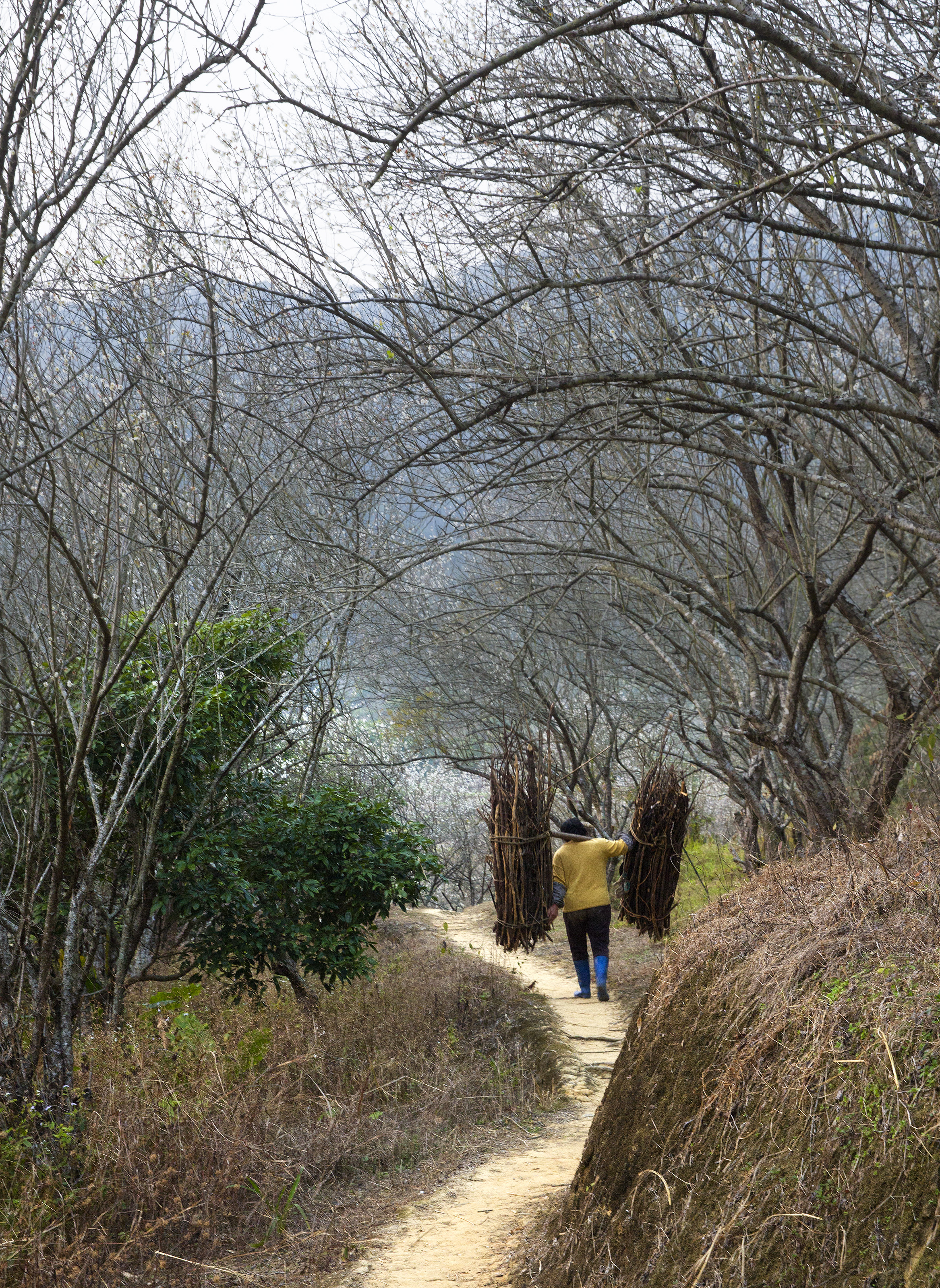 春灣山中間1.jpg