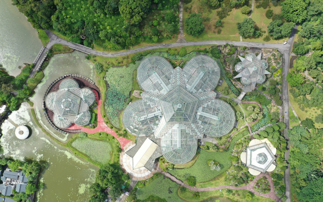 廣州華南植物園。來源：視覺中國